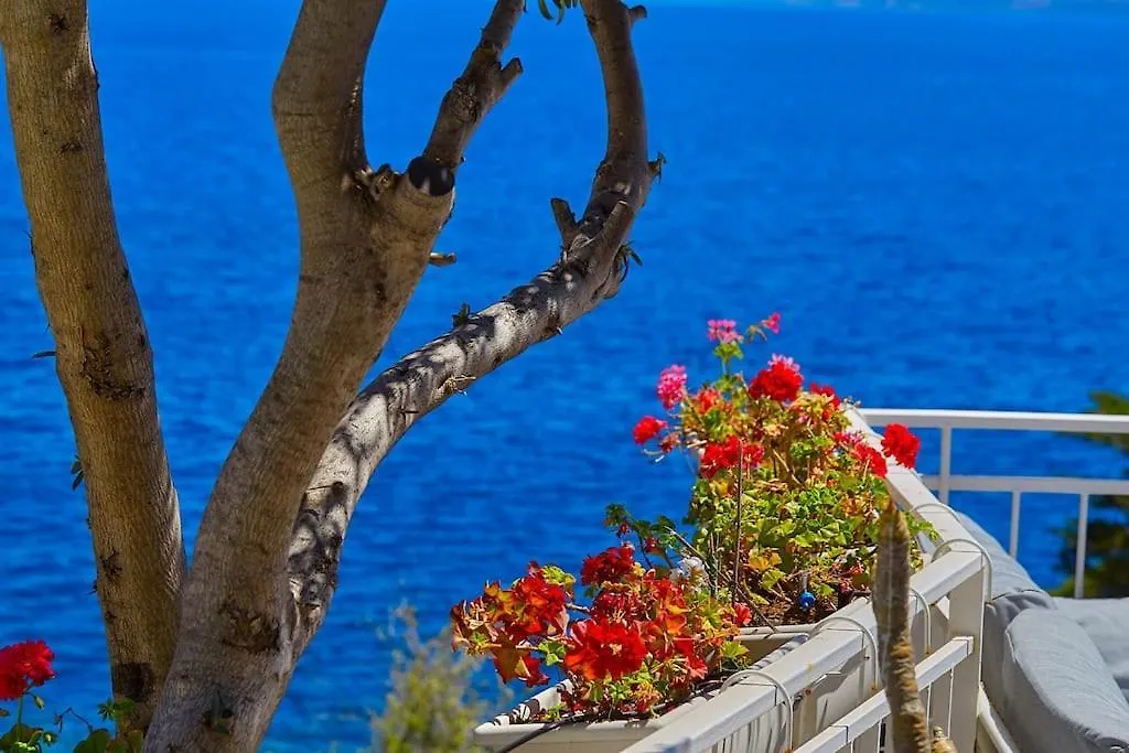 Holiday home Casa Mama Private Access To Sea Villa Santa Flavia Italy